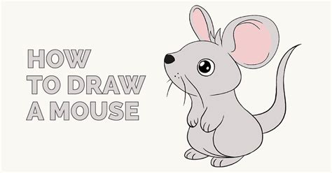 How To Draw A Mouse Step By Step Mouse Drawing For Kids - Mouse Drawing For Kids