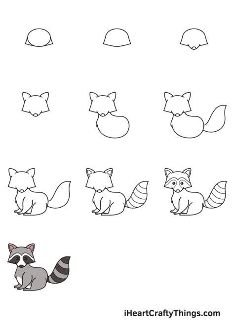 How To Draw A Raccoon Step By Step Raccoon Picture To Color - Raccoon Picture To Color