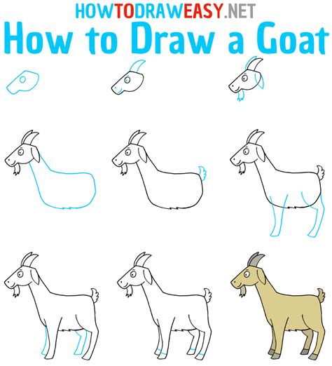 how to draw excellent pygmy goat
