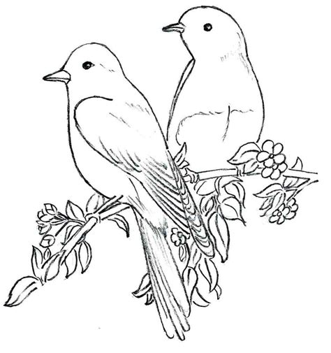How To Draw Background Birds Outline Pictures Of Birds For Colouring - Outline Pictures Of Birds For Colouring