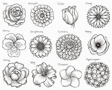 how to draw flowers and trees a beginner s guide