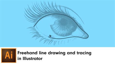 how to draw freehand in illustrator