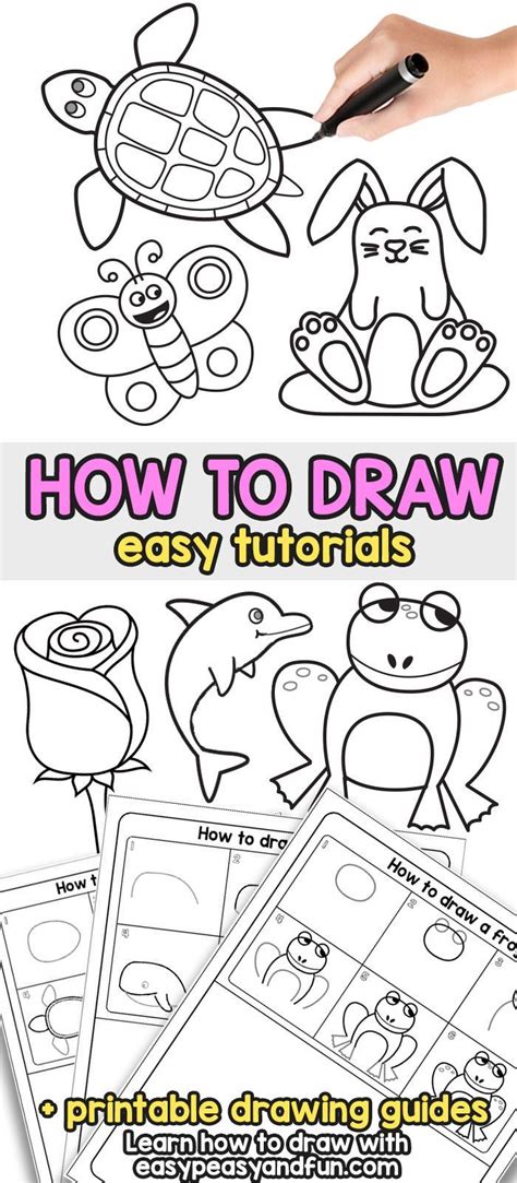 How To Draw How To Draw A Turtle Cute Turtle Drawing Color - Cute Turtle Drawing Color