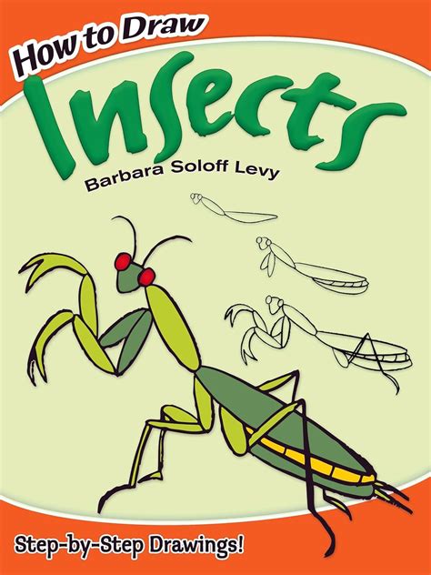 How To Draw Insects Dover How To Draw