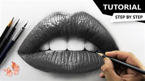 how to draw lips for beginners youtube
