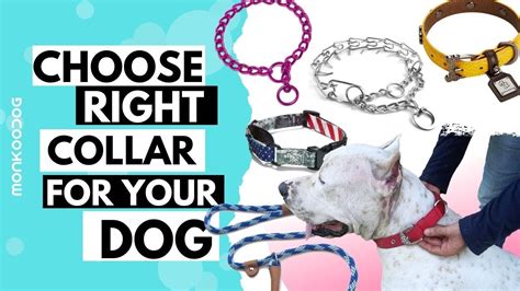 how to drop kick a dog collar