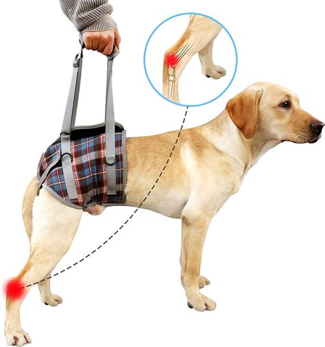 how to drop kick a dog harness