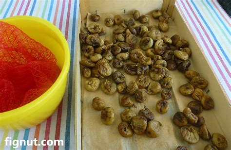 how to dry figs in sun