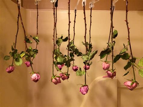How To Dry Flowers Upside Down Preserve Your Upside Down Flowers Meaning - Upside Down Flowers Meaning
