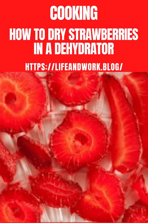 how to dry strawberries in dehydrator