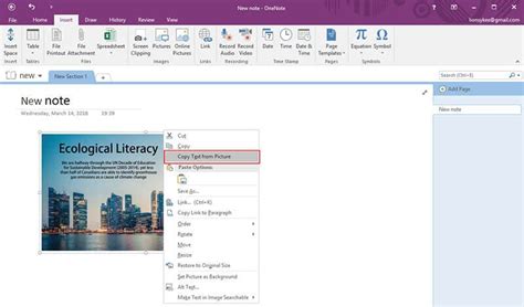 how to edit scan copy in word