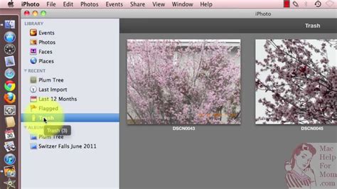 how to empty trash in iphoto