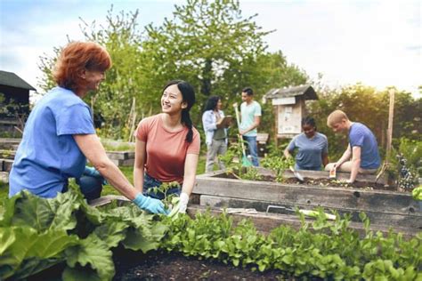 how to establish a community garden