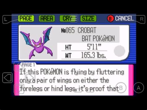 how to evolve golbat in ruby