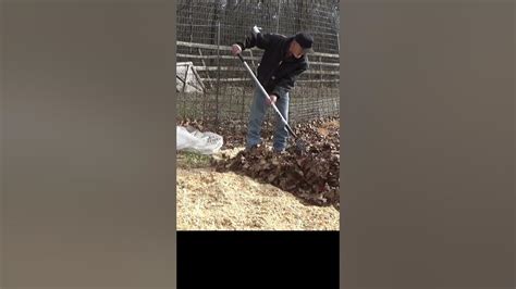 how to compost sawdust faster