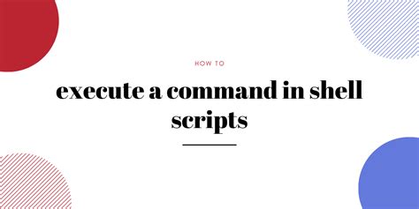 how to execute command in shell script