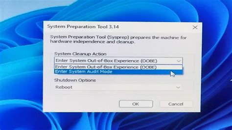 how to exit audit mode