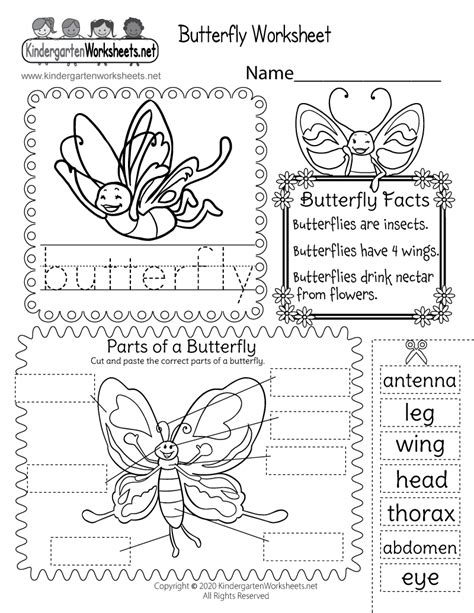 how to explain butterfly kisses for animals worksheet