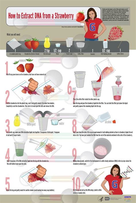 How To Extract Dna From Strawberries Popular Science Dna Science Experiment - Dna Science Experiment