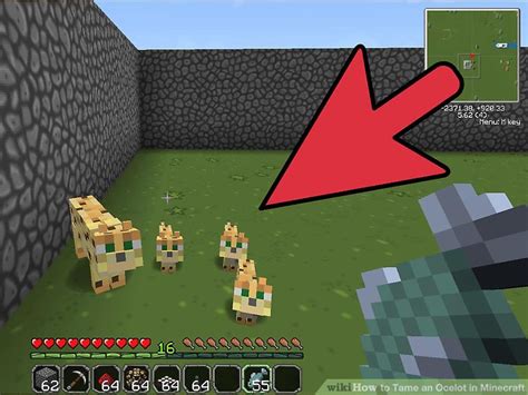 how to feed an ocelot in minecraft