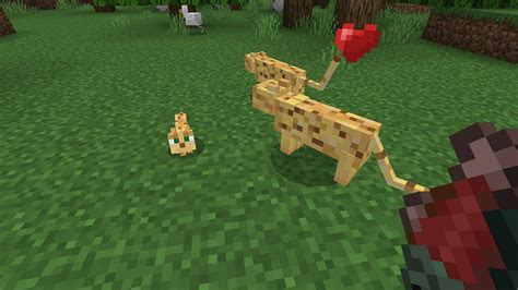 how to feed ocelots in minecraft