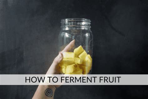 how to ferment fruit to make alcohol