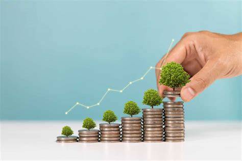 how to finance a growing business an insider s gu