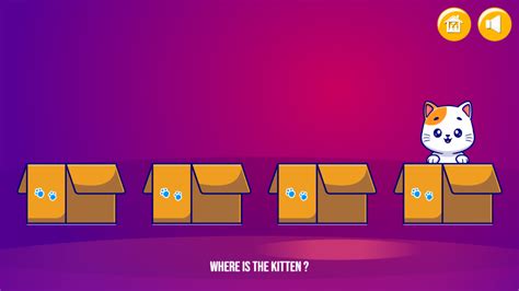 how to find a kitten