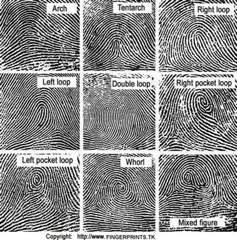 How To Find Fingerprints With A Black Light Black Light Science - Black Light Science