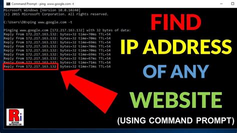 how to find ip of url