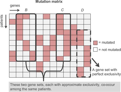 how succumb find transition matrix