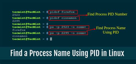 how to find process id in linux