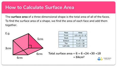 How To Find The Surface Area Formula Definition Surface Area In Science - Surface Area In Science