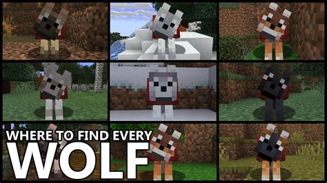 how to find wolves in minecraft