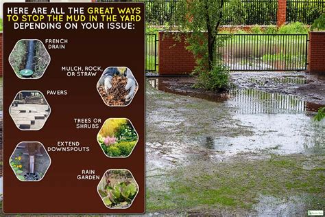 how to fix puddles in yard