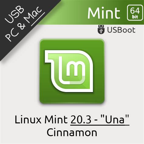 how to format usb in linux mint