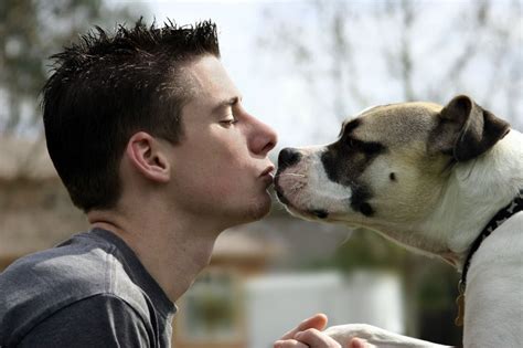 how to french kiss your dog