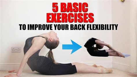 how to gain flexibility in back