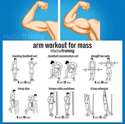 how to gain weight in your arms