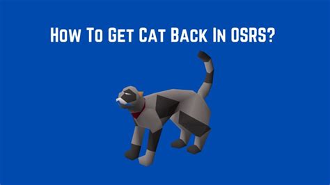how to get a cat back inside