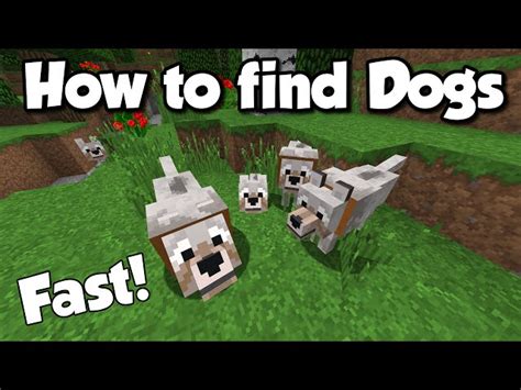 how to get a dog in minecraft