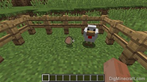 how to get a egg on minecraft