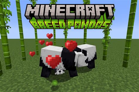 how to get a panda in minecraft