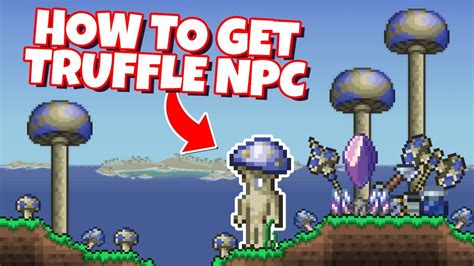 how to get a truffle in terraria