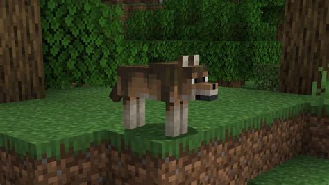 how to get a wolf minecraft