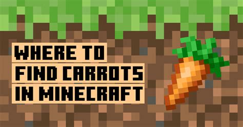 how to get carrots in minecraft