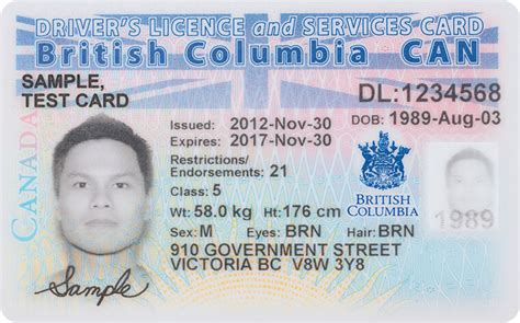 how to get drivers license in bc