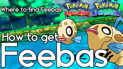 how to get feebas in sapphire