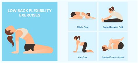 how to get flexibility in lower back