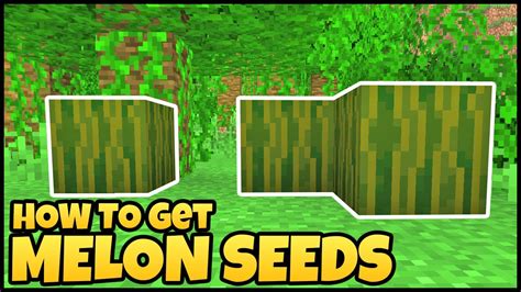 how to get melons in minecraft